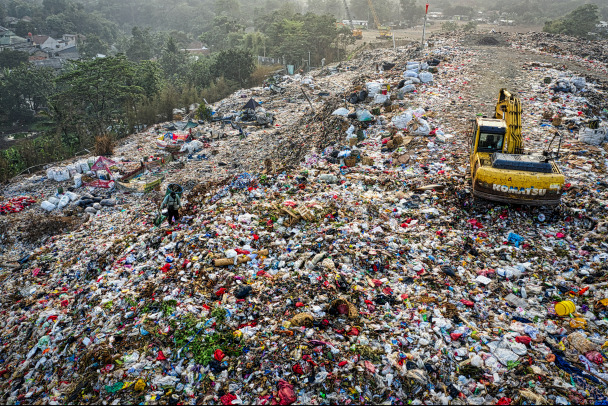 В Сосновом Бору больше не воняет: там рекультивирован полигон отходов на девяти гектарах