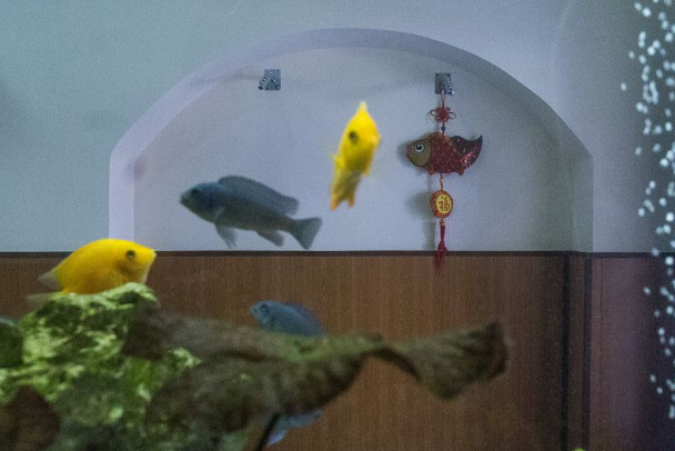 В Выборге годовалый ребенок попал в больницу, опрокинув себе на голову аквариум
