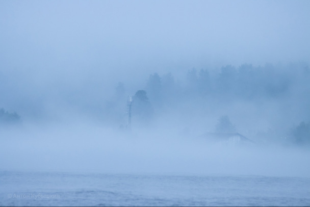 Туман стелется на пляже Ладоги в Приозерске. Пелена укутала лес - фото