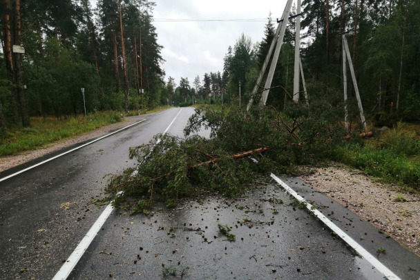 Моторное под приозерском