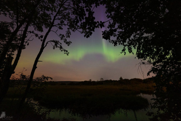 Фото и видео: Северное сияние  за ночь побывало почти везде в Ленобласти. Огни видели от Тихвина до Запорожского
