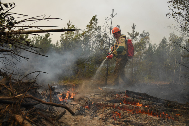 В Рязанской области из-за лесных пожаров введен режим ЧС