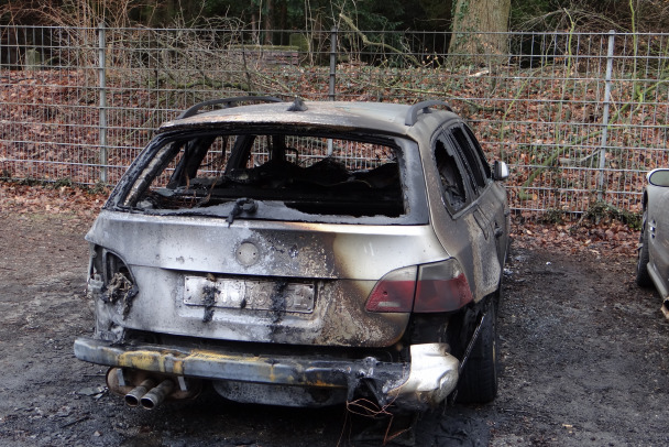 Машина «Моего зубного» пропала, врезалась в дерево и сгорела у озера Правдинское