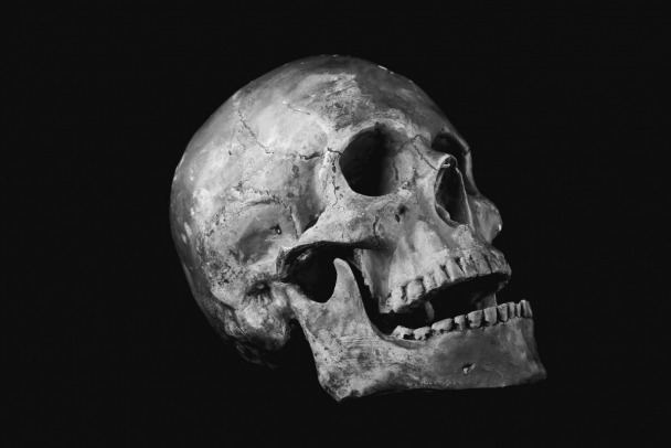 За пятиэтажкой в Гатчине обнаружен скелет