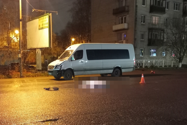 На выезде из Бугров микроавтобус насмерть сбил пешехода