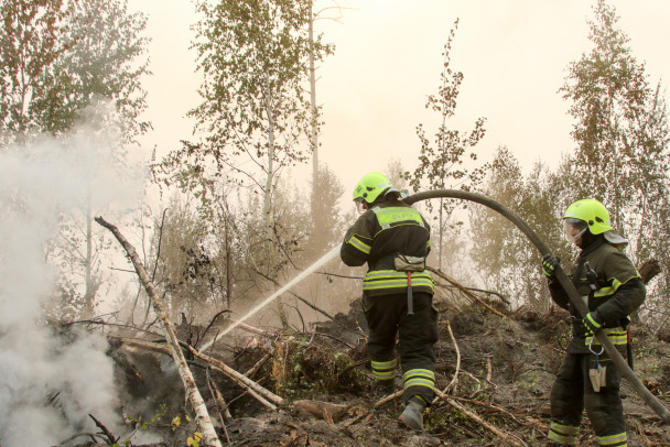 Российская экономика потеряла 7 миллиардов рублей из-за лесных пожаров в 2022 году