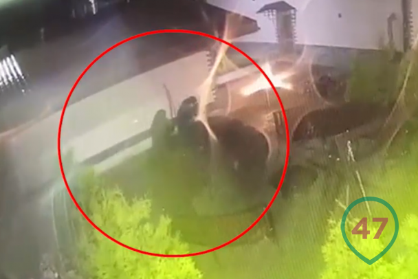 Трубой убивали прицельно. Удар в затылок и раз десять железом по главе Красного Бора (видео)