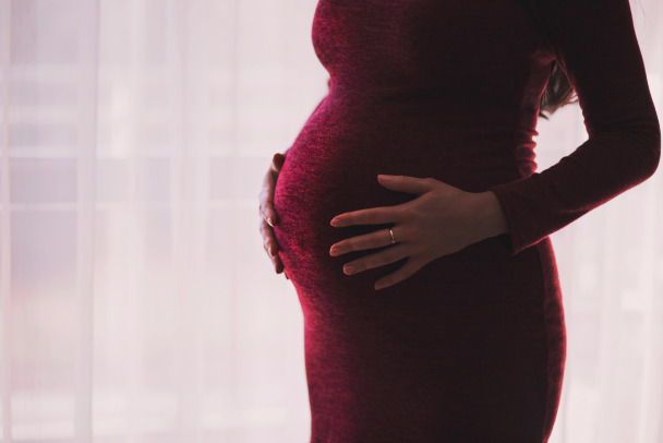 Госдума окончательно приняла закон о пособии для беременных и семей с детьми