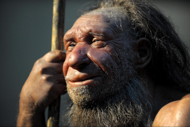 Ученые определили, у представителей каких народов в России больше всего генов неандертальцев