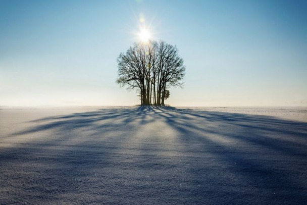 Сегодня в Ленобласти — мороз и солнце, на выходных подует южный ветер и пойдет снег