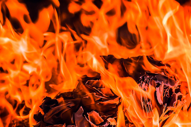 Фото и видео: дым столбом валил из горящего дома в Тихвине