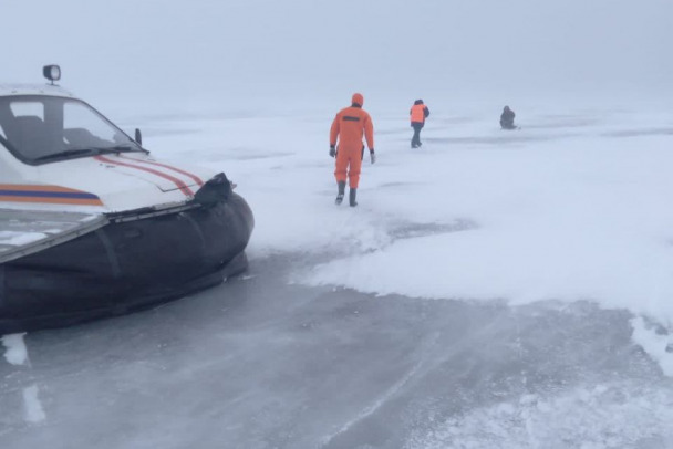 15 на льдине, не считая собаки. Спасатели помогли еще одним рыбакам на Финском заливе (видео)