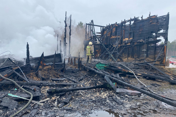 На пепелище расселенного дома в Приморске нашли обгоревшие останки - видео