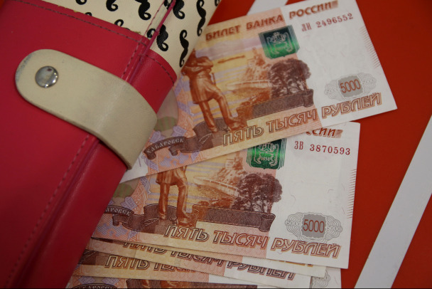 Петростат: Доходы жителей Ленобласти за январь выросли на 11%