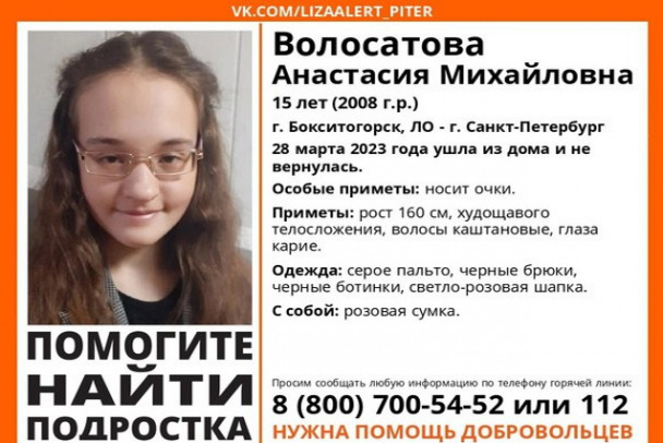 В Бокситогорске ищут примерную школьницу с розовой сумкой и мечтой