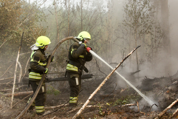 В четырех регионах СЗФО на этой неделе могут вспыхнуть пожары. Ленобласть в группе риска