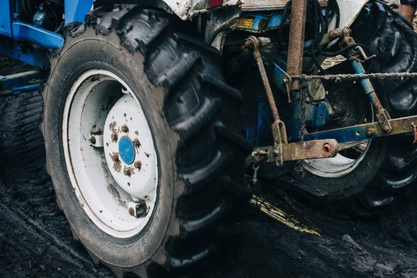 16 июня 2023 года днем в деревне Войносолово Кингисеппского района ...