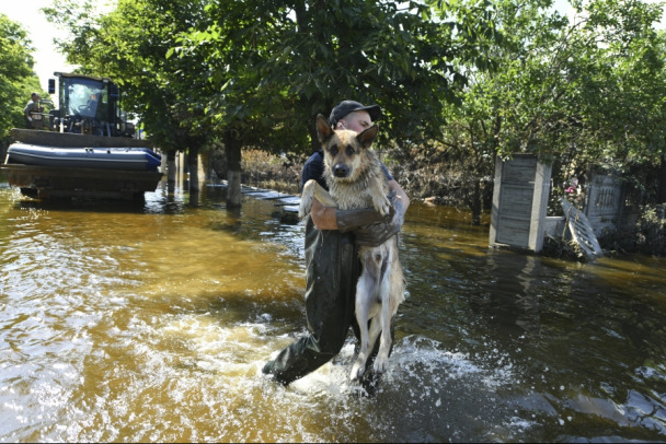 35 человек и около тысячи животных. Обновлены данные по жертвам разрушения Каховской ГЭС