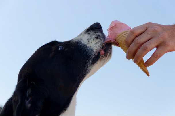 Сколько мороженого можно съесть в жару. Об этом рассказала врач-эндокринолог