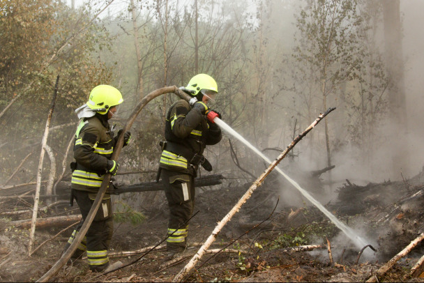 В ХМАО из-за пожаров объявлен режим ЧС. Туда стягивают спасателей из других регионов