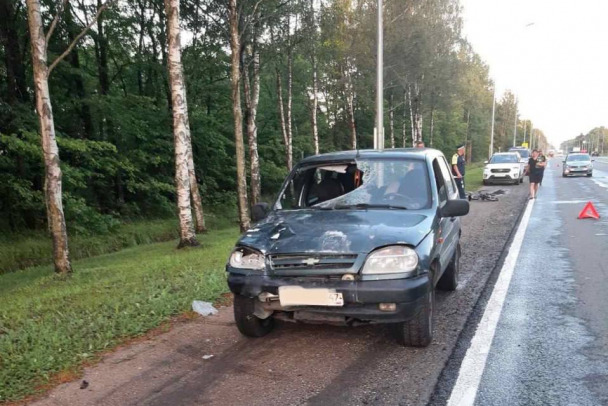 Велосипедист погиб в аварии на М-10 у Ушаков. Его доставали из лобового стекла «Шевроле» (фото) 