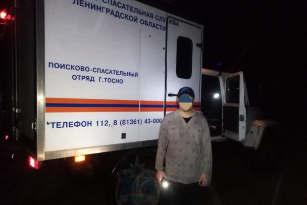 Грибник на ночь глядя пошел в лес под Лугой
