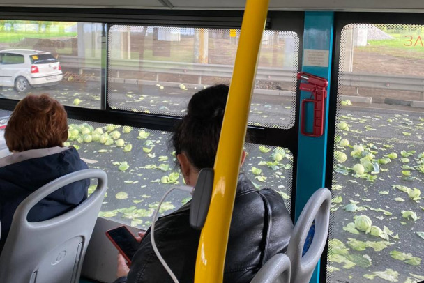 Урожайное ДТП. На шоссе у Новогорелово под колесами хрустит капуста