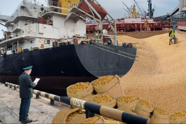 Через порты Балтики прошло свыше 700 тыс тонн зерна. Половина — через Высоцк