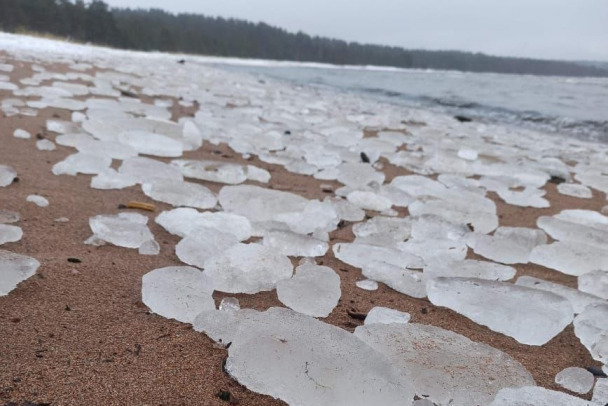 Ледяные яйца появились на берегу Финского залива под Выборгом