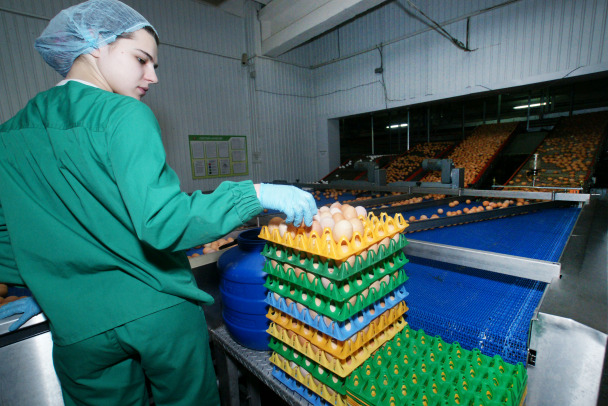 Минсельхоз ждёт снижения цен на яйца в торговле - производители уже снизили