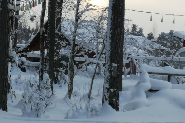 Неделя в Ленобласти начнется со снегопадов и минус 15-ти