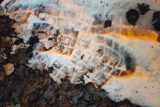 Следы на снегу выдали вора циркулярной пилы из техникума в Киришах - фото
