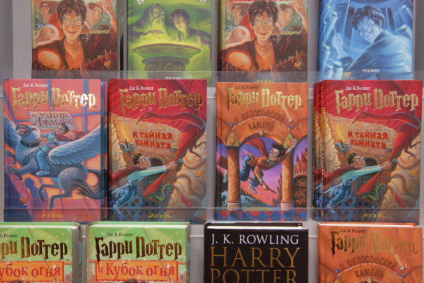 Жителя Кургана осудили за книги о Гарри Поттере