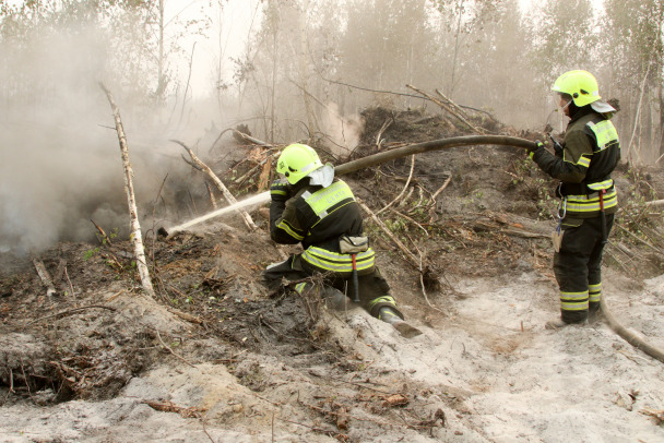В Ленобласти смогут привлечь более 5 тысяч специалистов для тушения лесных пожаров
