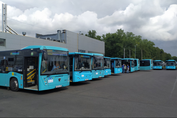 В Ленобласти на выборах президента проголосуют в автобусах и магазинах