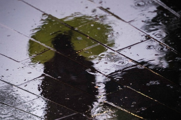 В последний день марта в Ленобласти пройдут дожди, а в первый день апреля — первые грозы