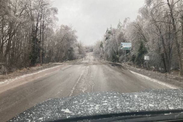 На Ленобласть обрушился зимний апокалипсис: на дорогах гололед, падают столбы и деревья 