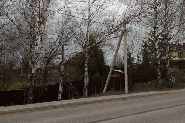 Дерево упало на линию электропередачи в Порошкино