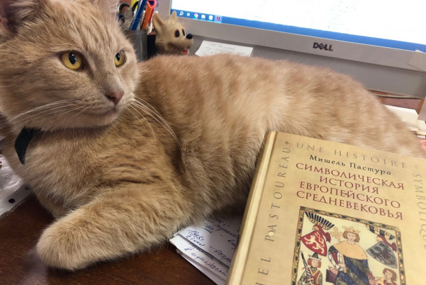 Ученый кот Персей. Пушистый сотрудник Выборгского замка получит трудовую книжку