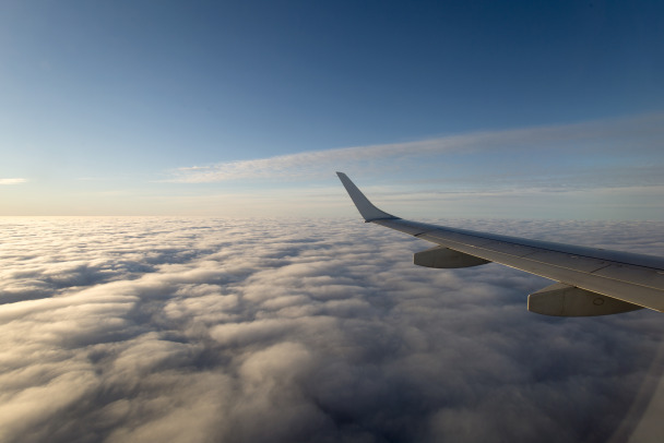 ФАС попросила шесть авиакомпаний объяснить, откуда взялись цены на билеты