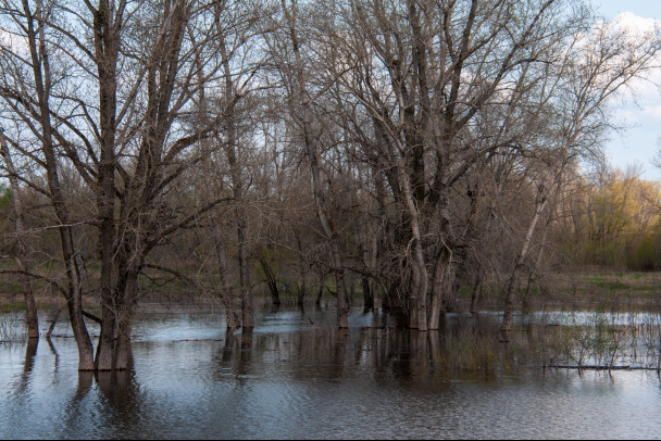 В регионах России не отступает паводок  затоплены больше 30 тысяч домов и участков