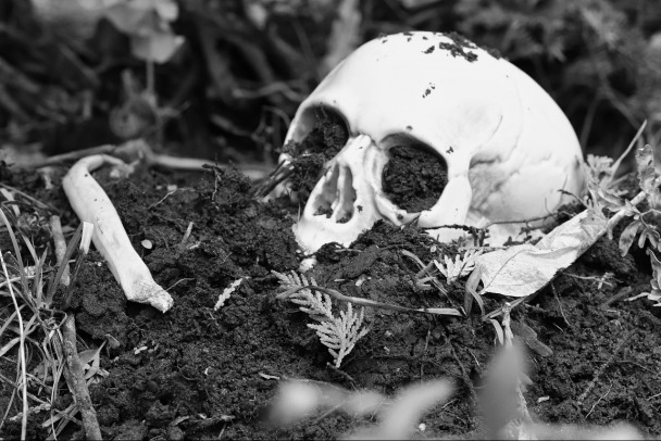 У шиномонтажа в Буграх нашли скелет