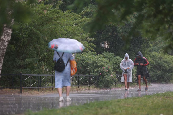В Ленобласти субботнюю жару разбавят ливни, грозы и порывистый ветер - объявлено штормовое предупреждение