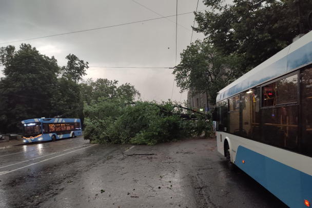 Буря накрывает Ленобласть: в Мурино апокалипсис, ветер валит деревья, энергетики крепятся - фото и видео
