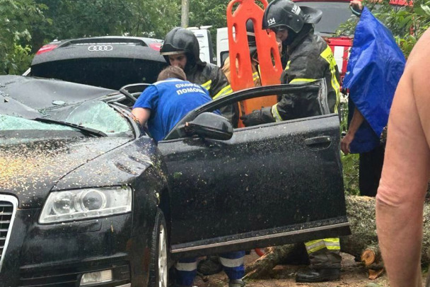 Дерево раздавило Audi в Волковицах. Из салона деблокировали двух женщин