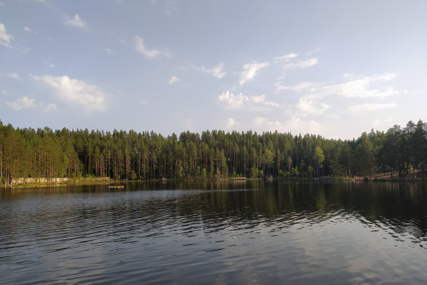 Расширился список безопасных для купания водоемов Ленобласти, в Петербурге таких нет