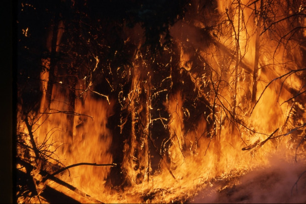 Крупный природный пожар тушат у хутора Дюрсо на Кубани. Эвакуированы 500 человек