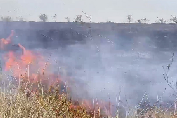 В Крыму горят более 20 гектаров сухих растений. Работают пожарные и авиация