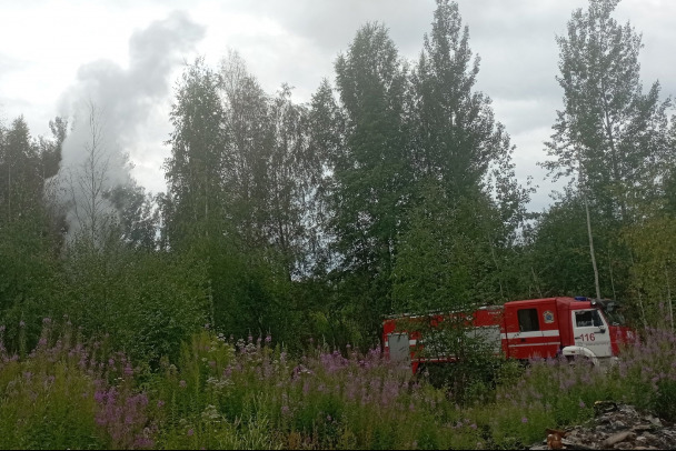 В Бокситогорске спасатели заливали дым в лесу - фото и видео