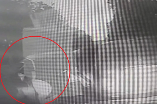 Усмирение буйного водителя с топором в Петербурге сотрудниками ГАИ попало на видео